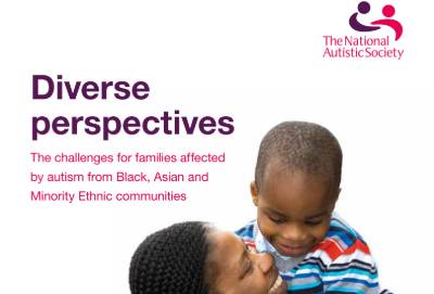 Screenshot of the Diverse Perspectives report
